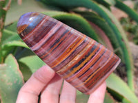 Polished Banded Tiger Iron Standing Free Forms x 3 From South Africa