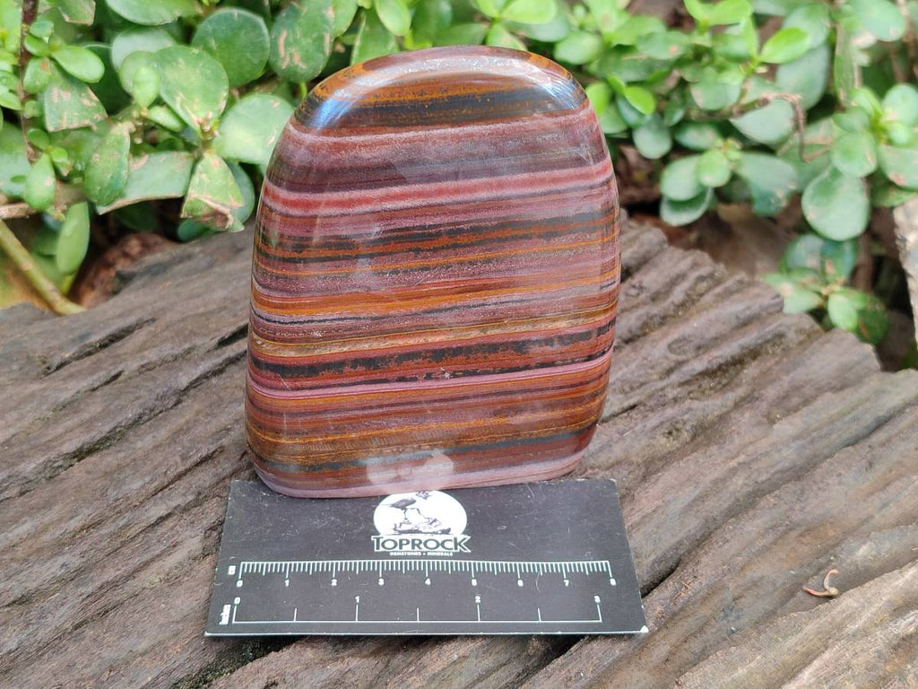 Polished Banded Tiger Iron Standing Free Forms x 3 From South Africa - Toprock Gemstones and Minerals 
