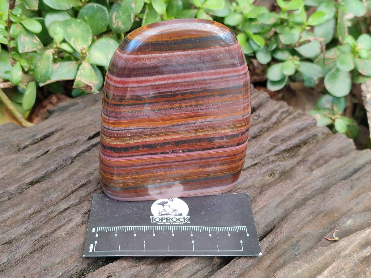 Polished Banded Tiger Iron Standing Free Forms x 3 From South Africa - Toprock Gemstones and Minerals 