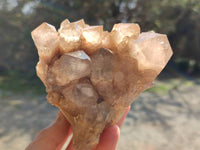 Natural Phantom Smokey Quartz Clusters x 2 From Luena, Congo