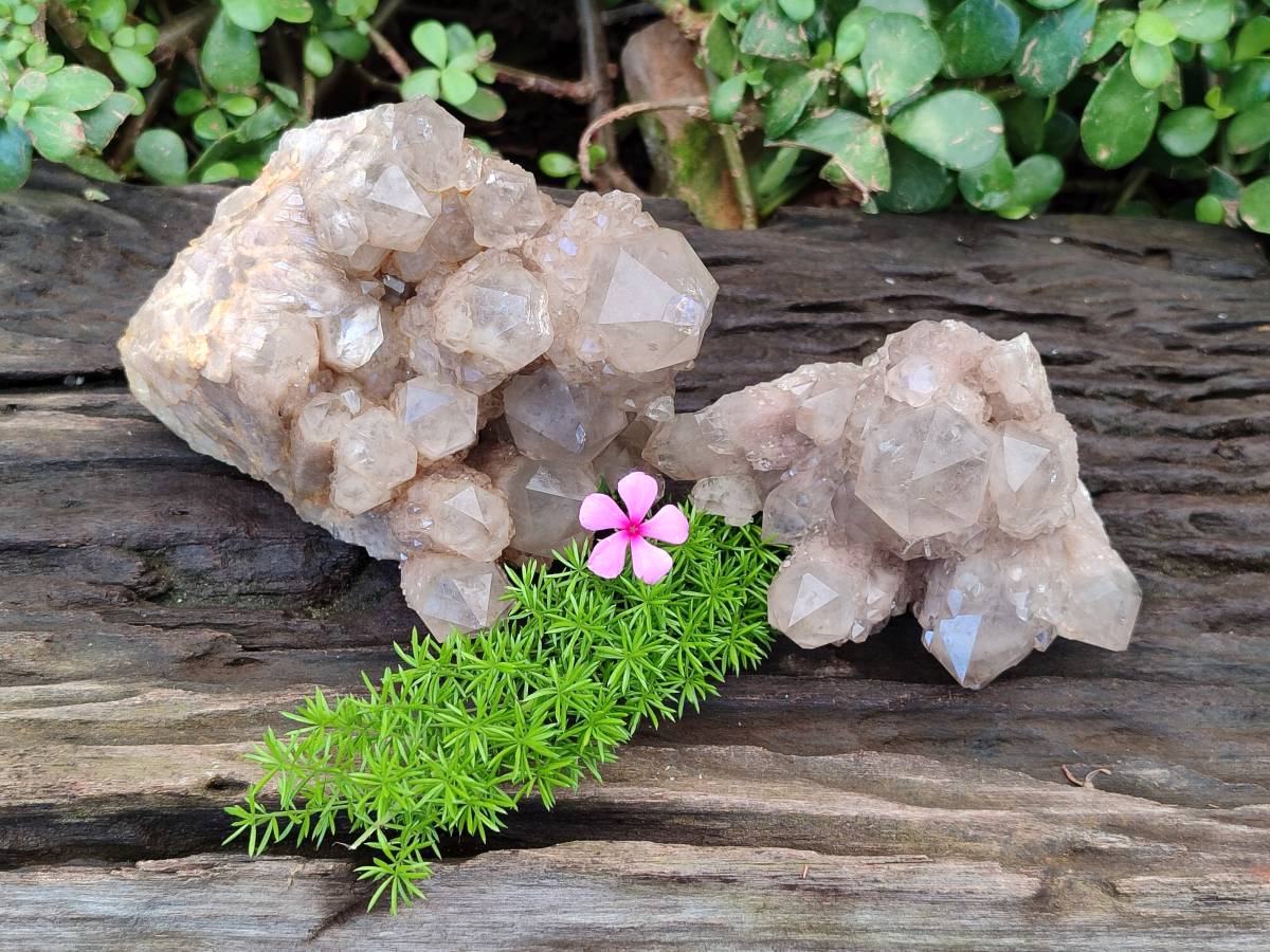 Natural Phantom Smokey Quartz Clusters x 2 From Luena, Congo - Toprock Gemstones and Minerals 