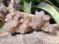 Natural Phantom Smokey Quartz Clusters x 2 From Luena, Congo