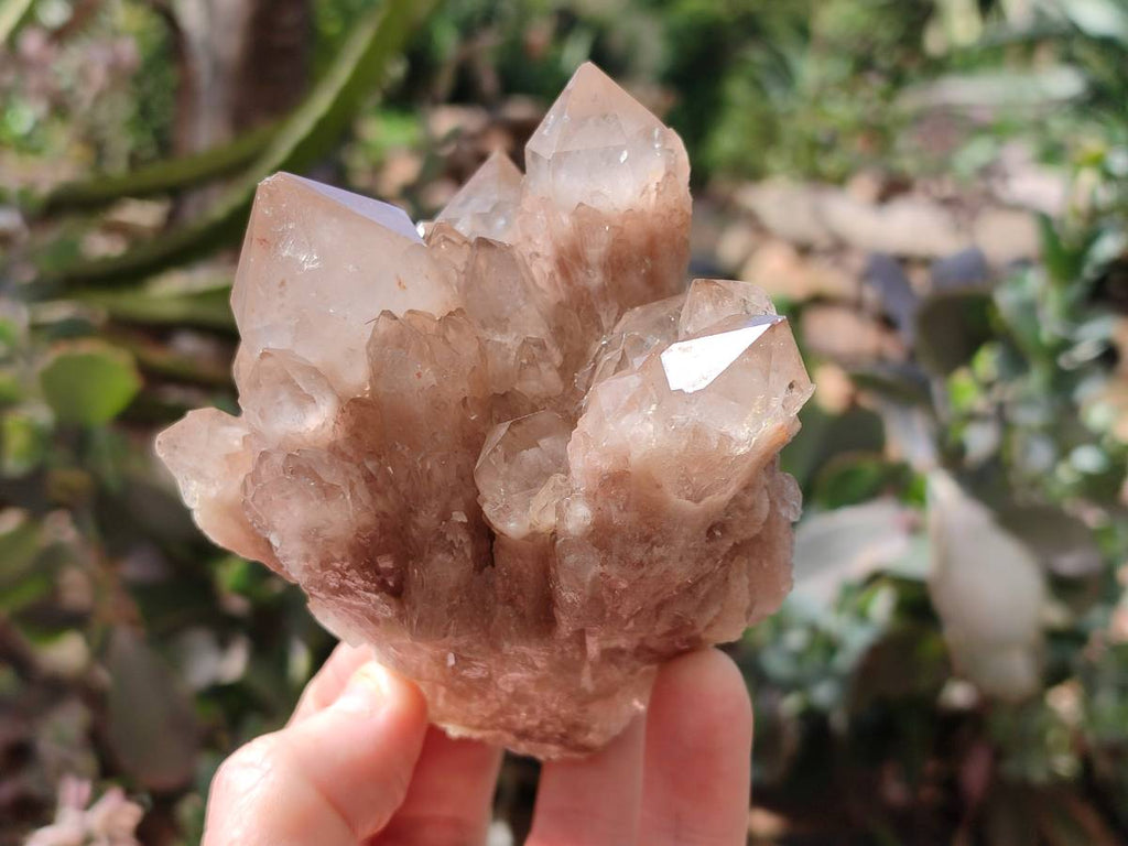 Natural Phantom Smokey Quartz Clusters x 2 From Luena, Congo - Toprock Gemstones and Minerals 