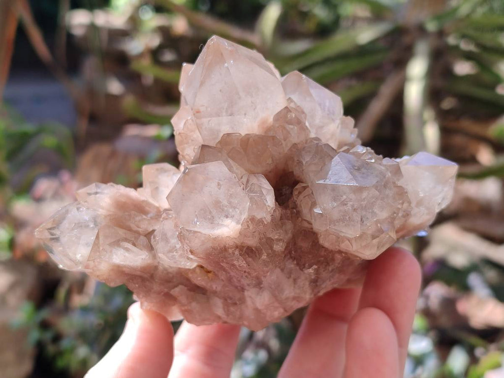 Natural Phantom Smokey Quartz Clusters x 2 From Luena, Congo - Toprock Gemstones and Minerals 