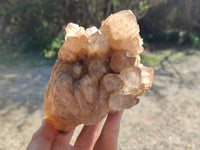 Natural Phantom Smokey Quartz Clusters x 2 From Luena, Congo