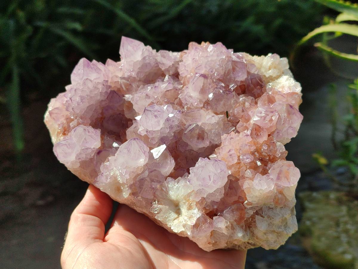 Natural Amethyst Spirit Quartz Cluster x 1 From South Africa - Toprock Gemstones and Minerals 