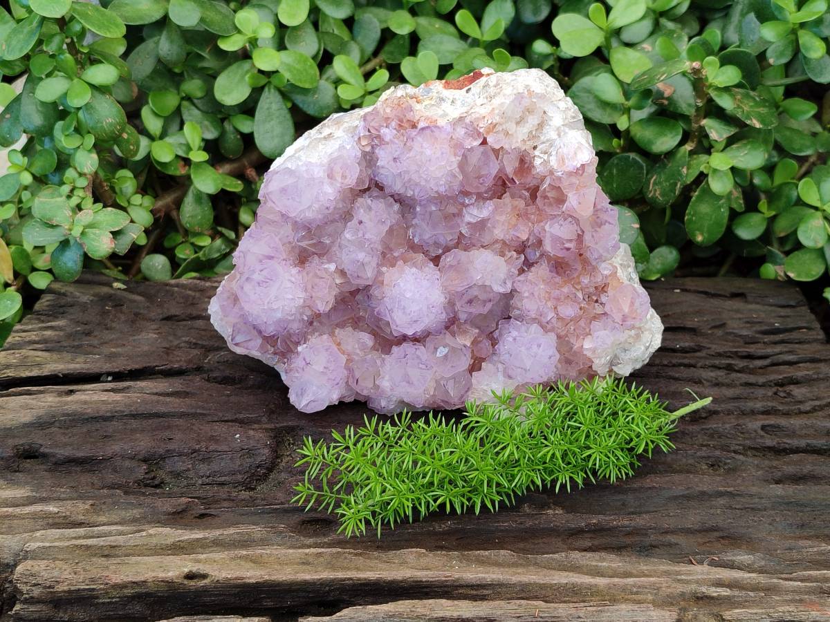 Natural Amethyst Spirit Quartz Cluster x 1 From South Africa - Toprock Gemstones and Minerals 