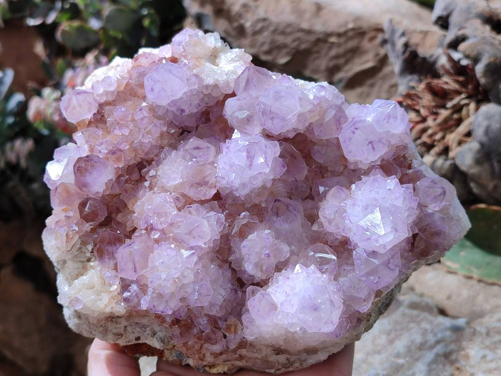 Natural Amethyst Spirit Quartz Cluster x 1 From South Africa - Toprock Gemstones and Minerals 