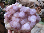Natural Amethyst Spirit Quartz Cluster x 1 From South Africa - Toprock Gemstones and Minerals 