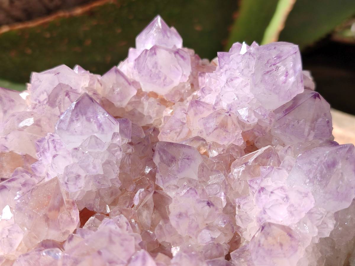 Natural Amethyst Spirit Quartz Cluster x 1 From South Africa - Toprock Gemstones and Minerals 