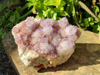 Natural Amethyst Spirit Quartz Cluster x 1 From South Africa - Toprock Gemstones and Minerals 
