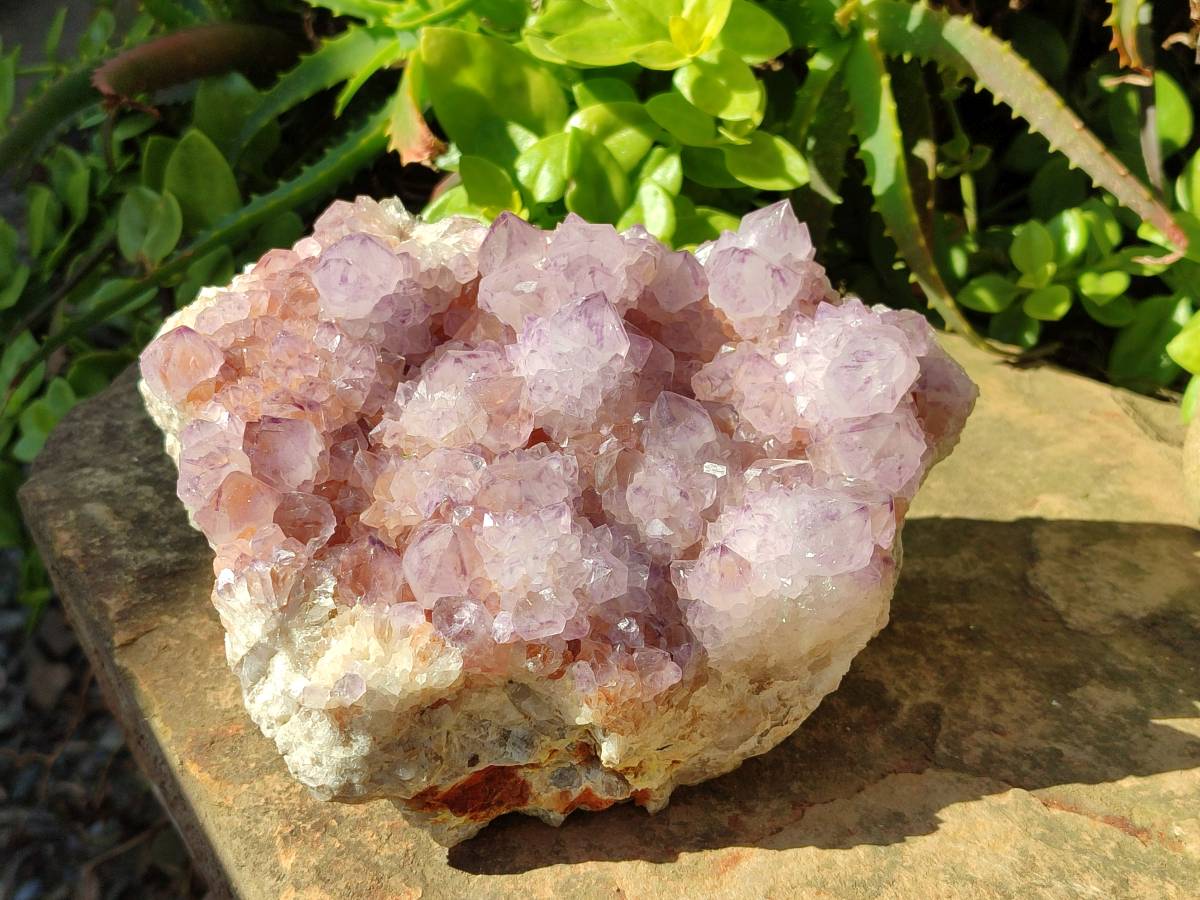 Natural Amethyst Spirit Quartz Cluster x 1 From South Africa - Toprock Gemstones and Minerals 