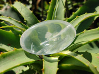 Polished Girasol Pearl Quartz Palm Stones x 12 From Ambatondrazaka, Madagascar