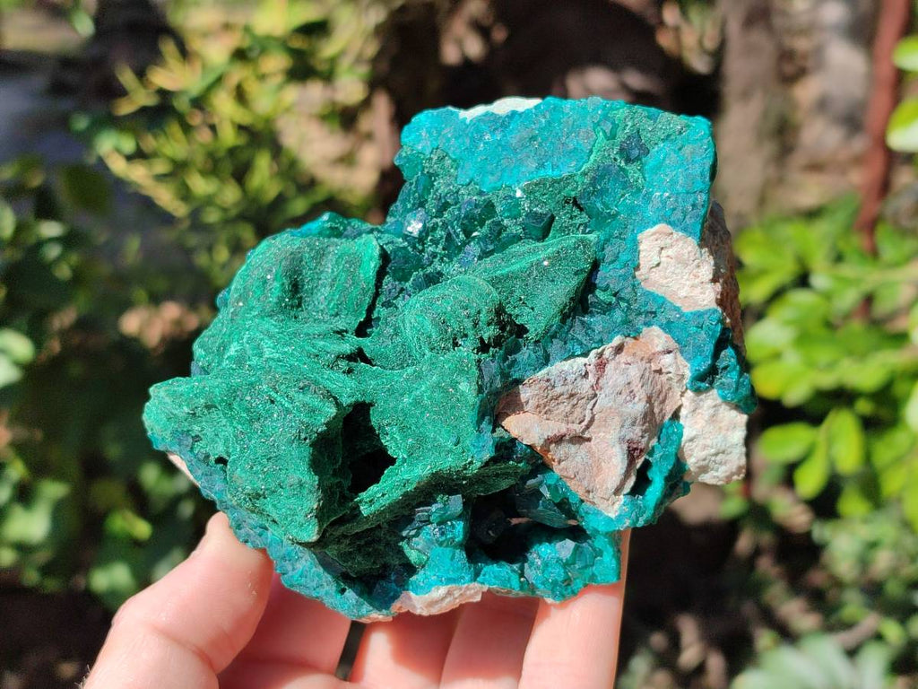 Natural Dioptase With Malachite Matrix Specimen x 1 From Likasi, Congo - Toprock Gemstones and Minerals 