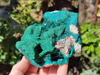 Natural Dioptase With Malachite Matrix Specimen x 1 From Likasi, Congo - Toprock Gemstones and Minerals 