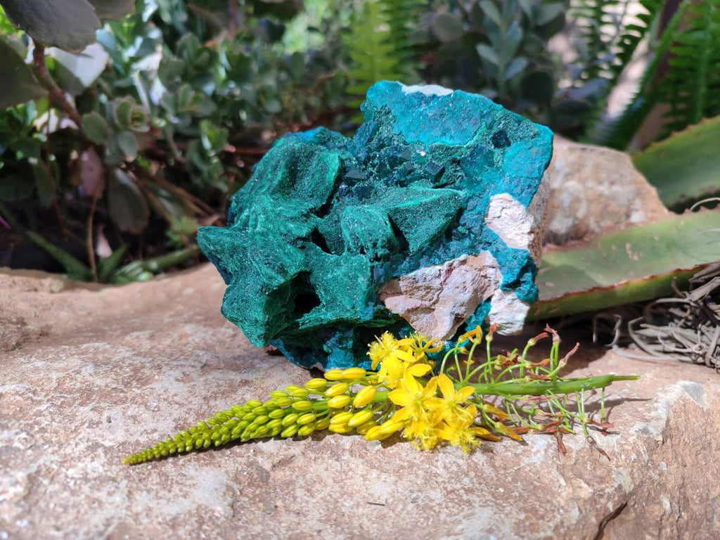 Natural Dioptase With Malachite Matrix Specimen x 1 From Likasi, Congo - Toprock Gemstones and Minerals 