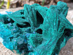Natural Dioptase With Malachite Matrix Specimen x 1 From Likasi, Congo - Toprock Gemstones and Minerals 