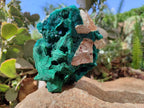Natural Dioptase With Malachite Matrix Specimen x 1 From Likasi, Congo - Toprock Gemstones and Minerals 