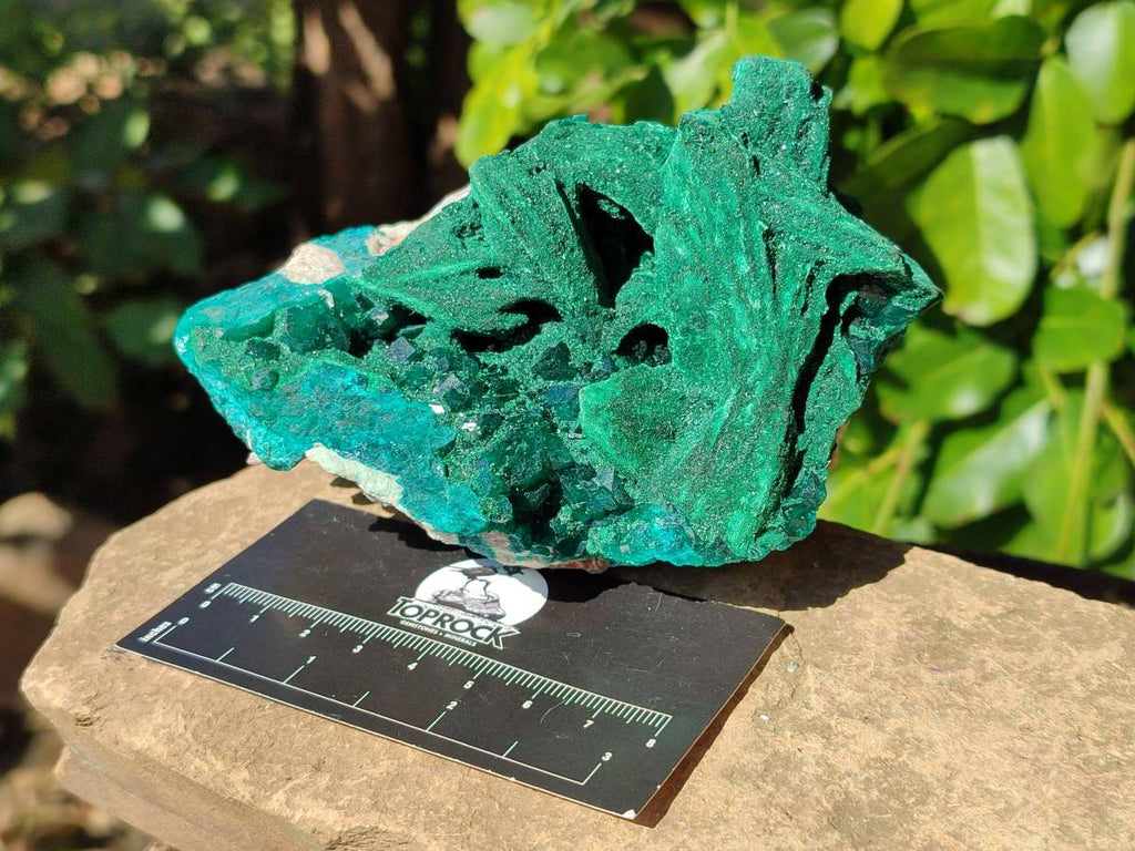 Natural Dioptase With Malachite Matrix Specimen x 1 From Likasi, Congo - Toprock Gemstones and Minerals 
