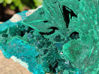 Natural Dioptase With Malachite Matrix Specimen x 1 From Likasi, Congo - Toprock Gemstones and Minerals 
