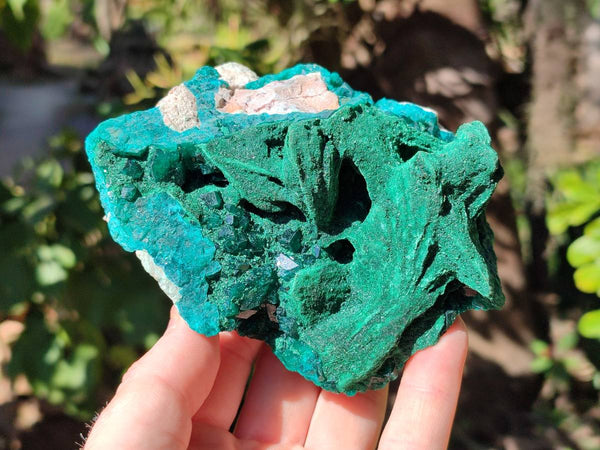 Natural Dioptase With Malachite Matrix Specimen x 1 From Likasi, Congo