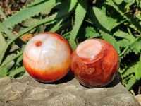 Polished Carnelian Agate Spheres x 2 From Madagascar