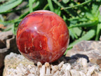Polished Carnelian Agate Spheres x 2 From Madagascar - Toprock Gemstones and Minerals 