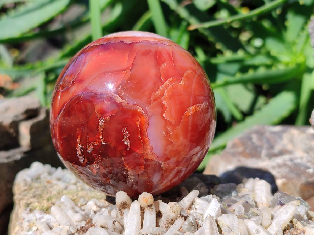 Polished Carnelian Agate Spheres x 2 From Madagascar - Toprock Gemstones and Minerals 