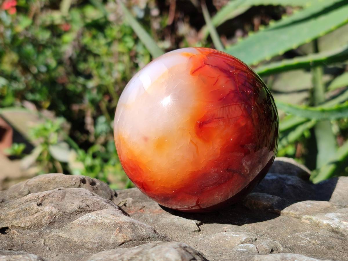 Polished Carnelian Agate Spheres x 2 From Madagascar - Toprock Gemstones and Minerals 