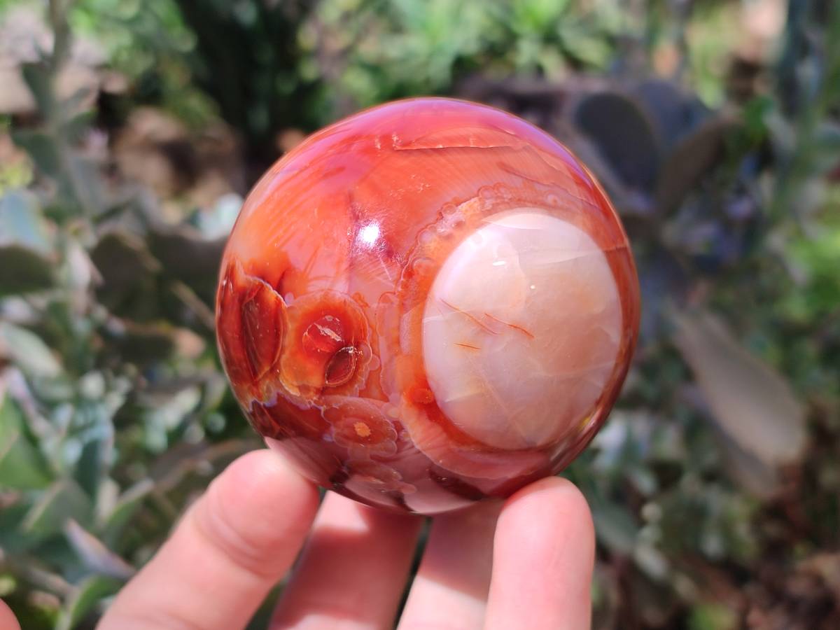 Polished Carnelian Agate Spheres x 2 From Madagascar - Toprock Gemstones and Minerals 
