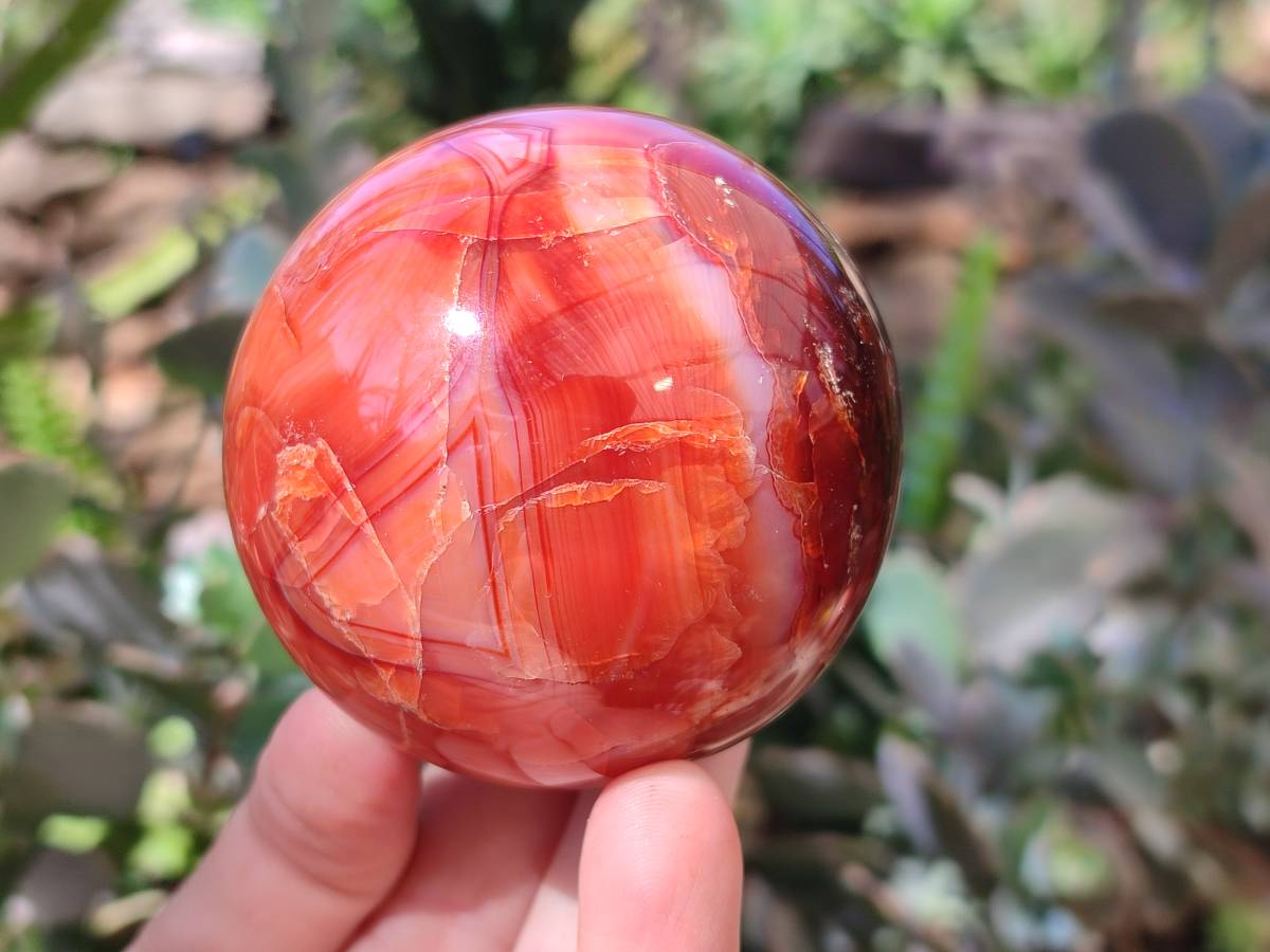 Polished Carnelian Agate Spheres x 2 From Madagascar - Toprock Gemstones and Minerals 