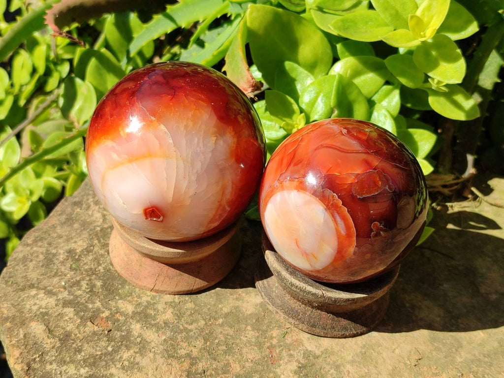 Polished Carnelian Agate Spheres x 2 From Madagascar - Toprock Gemstones and Minerals 