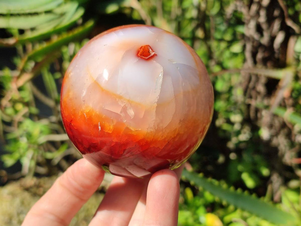 Polished Carnelian Agate Spheres x 2 From Madagascar - Toprock Gemstones and Minerals 