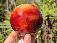Polished Carnelian Agate Spheres x 2 From Madagascar
