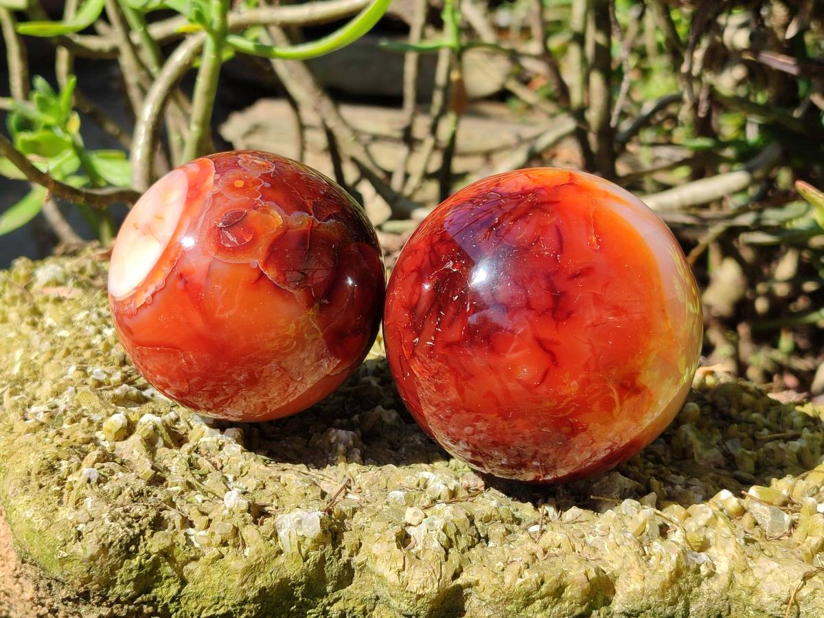 Polished Carnelian Agate Spheres x 2 From Madagascar - Toprock Gemstones and Minerals 