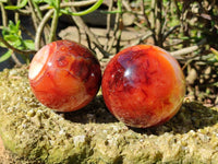 Polished Carnelian Agate Spheres x 2 From Madagascar
