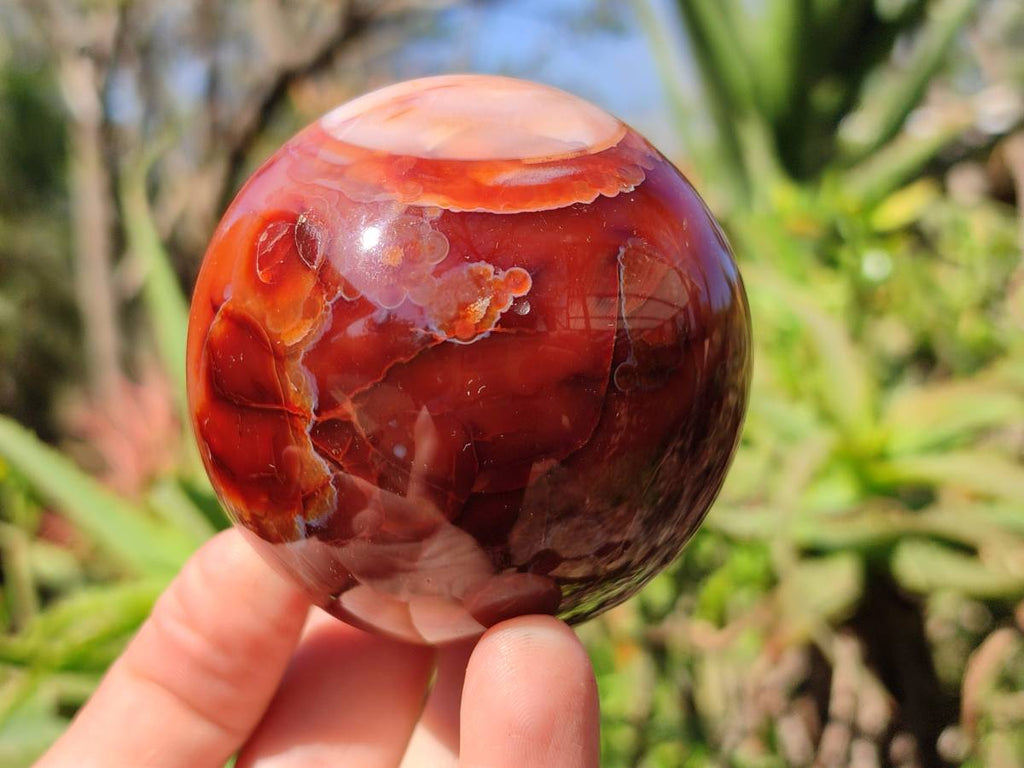 Polished Carnelian Agate Spheres x 2 From Madagascar - Toprock Gemstones and Minerals 