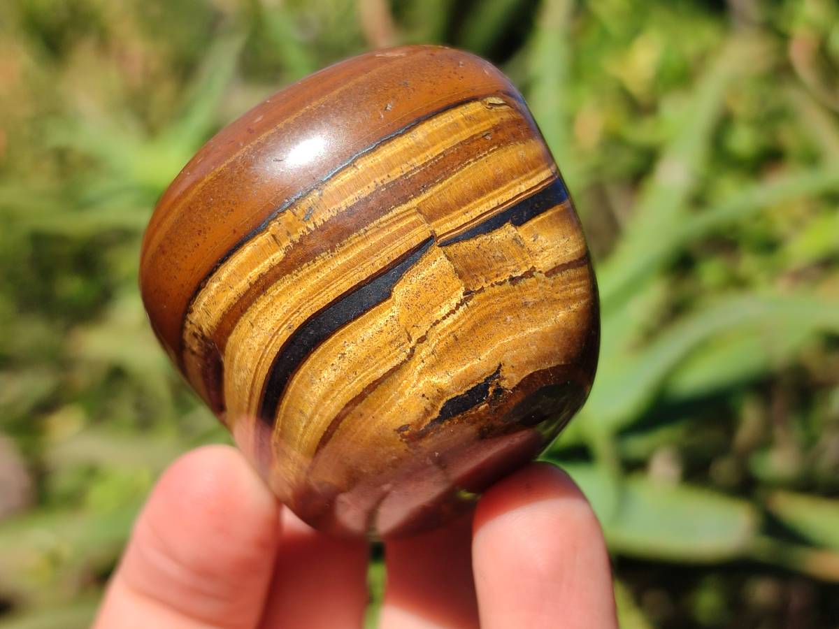 Polished Tigers Eye Free Forms x 12 From South Africa - Toprock Gemstones and Minerals 