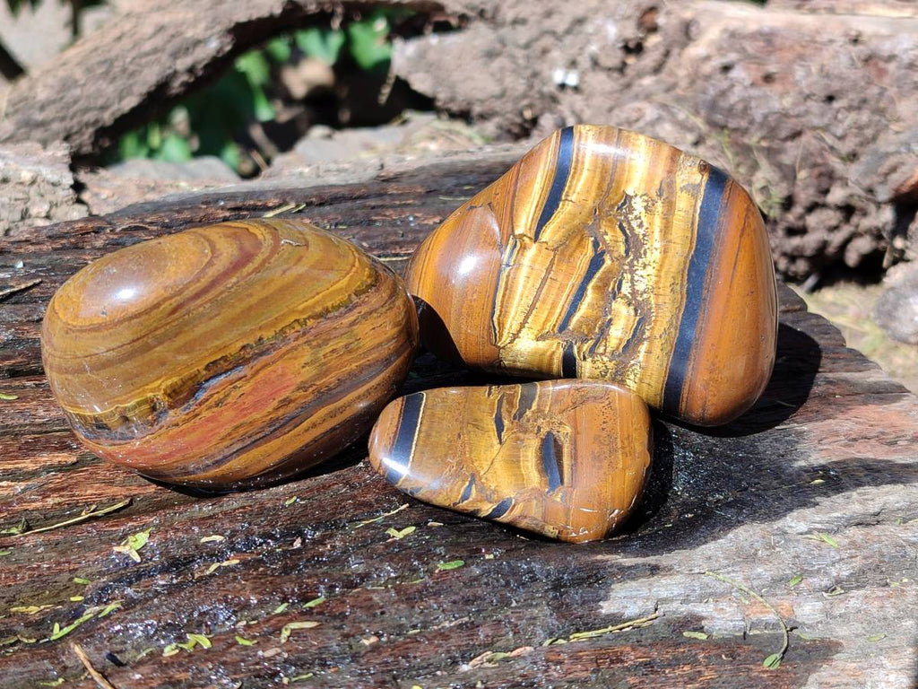 Polished Tigers Eye Free Forms x 12 From South Africa - Toprock Gemstones and Minerals 