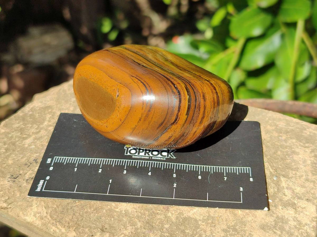 Polished Tigers Eye Free Forms x 12 From South Africa - Toprock Gemstones and Minerals 