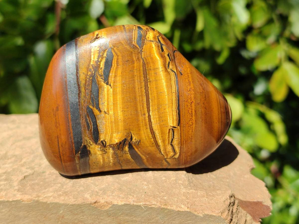Polished Tigers Eye Free Forms x 12 From South Africa - Toprock Gemstones and Minerals 
