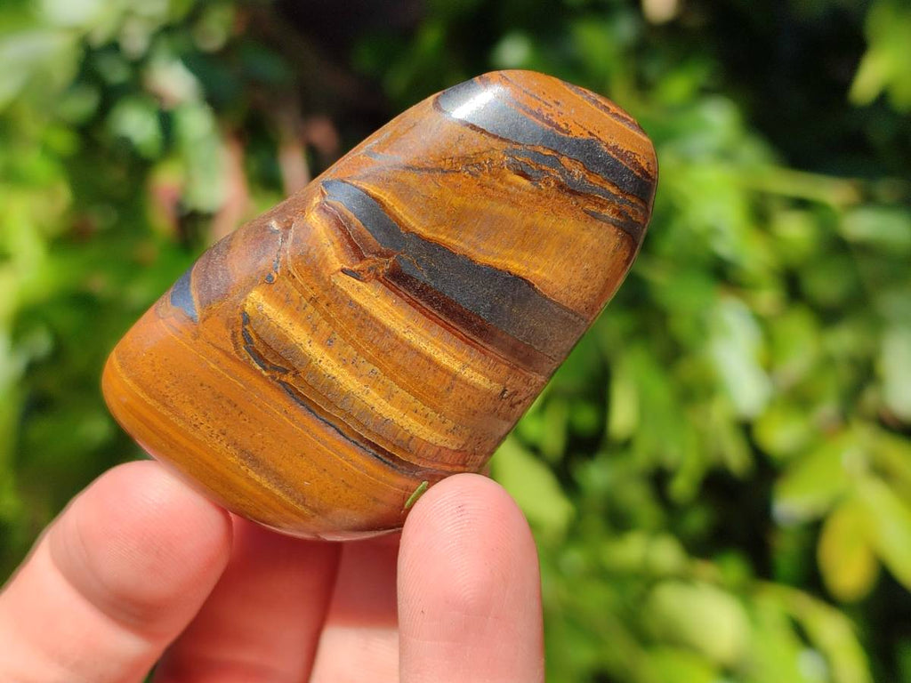 Polished Tigers Eye Free Forms x 12 From South Africa - Toprock Gemstones and Minerals 
