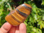 Polished Tigers Eye Free Forms x 12 From South Africa - Toprock Gemstones and Minerals 