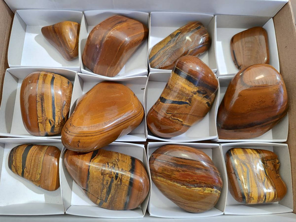 Polished Tigers Eye Free Forms x 12 From South Africa - Toprock Gemstones and Minerals 