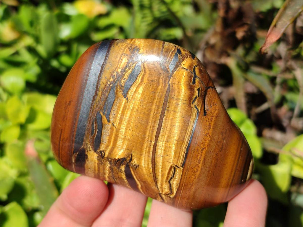Polished Tigers Eye Free Forms x 12 From South Africa - Toprock Gemstones and Minerals 