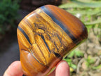 Polished Tigers Eye Free Forms x 12 From South Africa - Toprock Gemstones and Minerals 