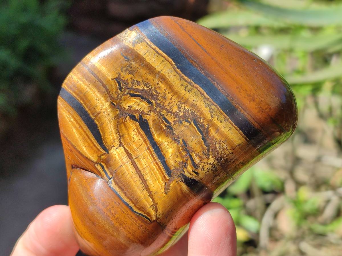 Polished Tigers Eye Free Forms x 12 From South Africa - Toprock Gemstones and Minerals 