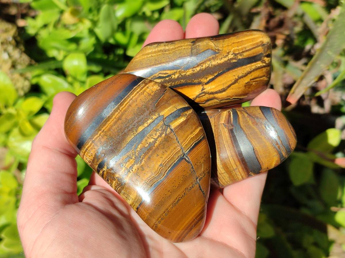 Polished Tigers Eye Free Forms x 12 From South Africa - Toprock Gemstones and Minerals 