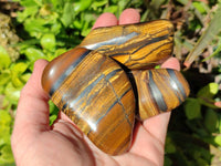 Polished Tigers Eye Free Forms x 12 From South Africa