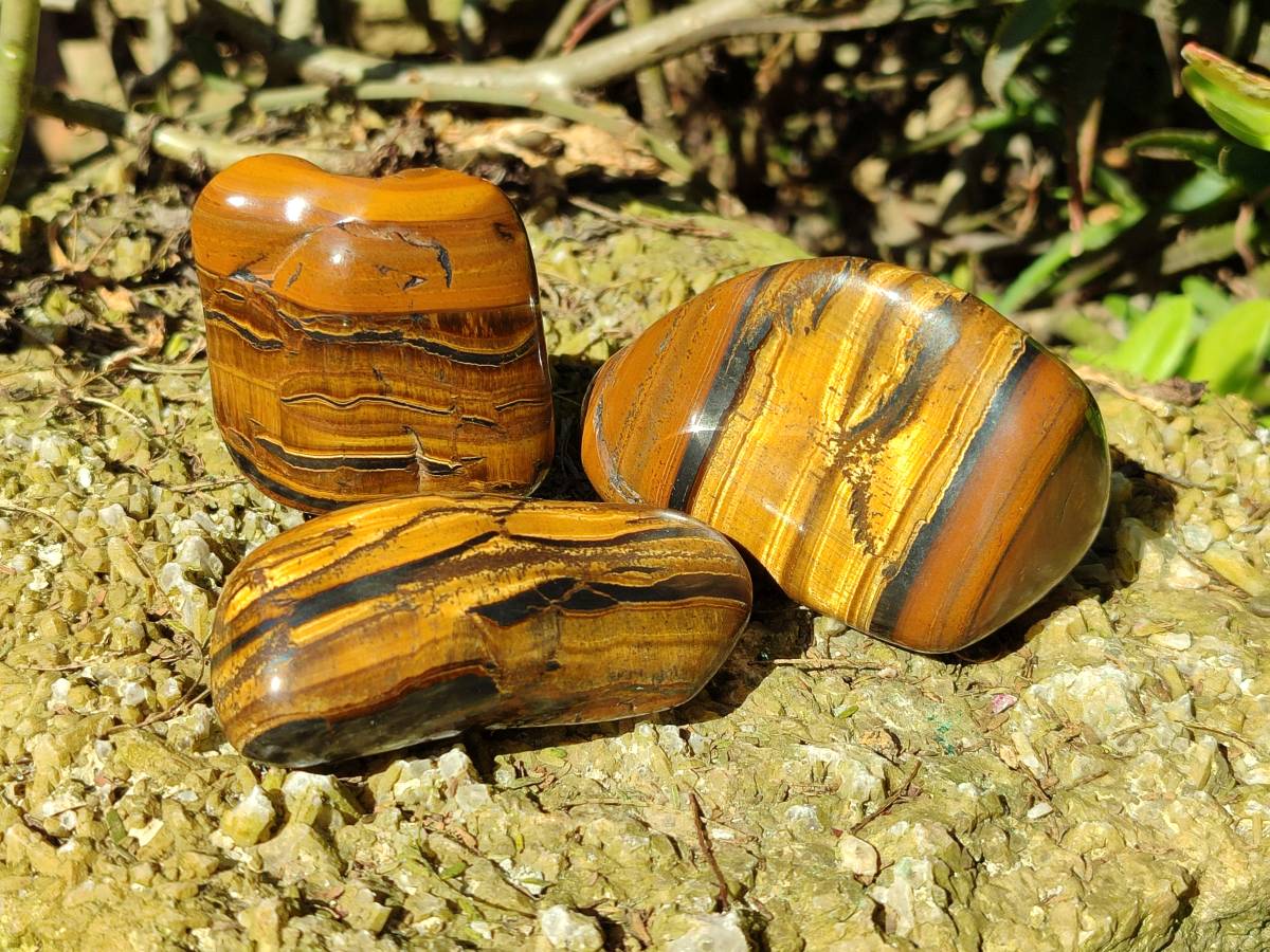 Polished Tigers Eye Free Forms x 12 From South Africa - Toprock Gemstones and Minerals 